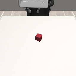Figure 3a. Fixed-agent camera view